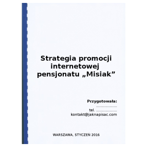 Strategia promocji internetowej dla pensjonatu "Misiak" - przykład