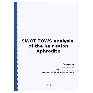 SWOT TOWS analysis of the hair salon Aphrodite - example