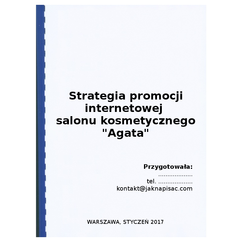 Strategia promocji internetowej salonu kosmetycznego "Agata"