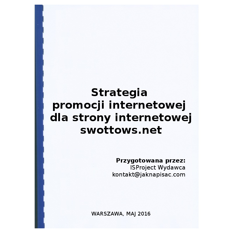 Strategia promocji internetowej dla strony internetowej